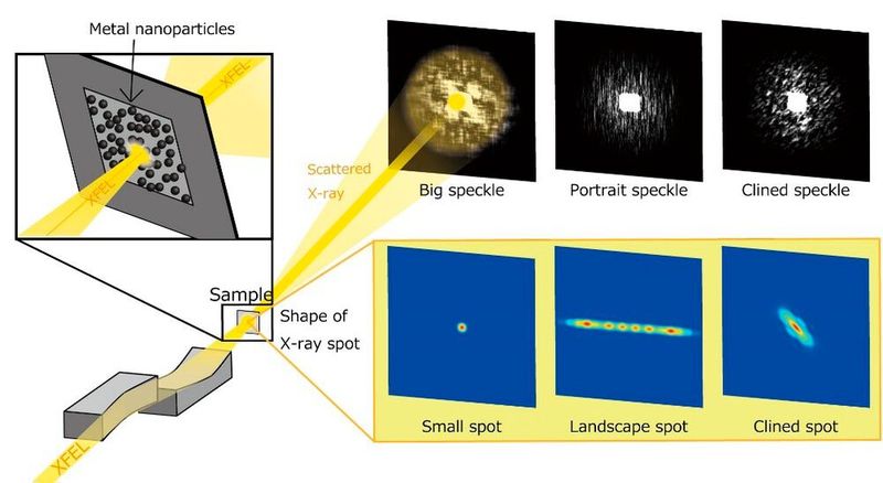 Schematic of the new method, based on speckles of coherent scattering.  (Source:Osaka University)