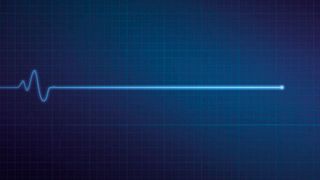 Ausblick 2024: Ein Automarkt auf der Nulllinie. (Bild: © Alex Stokes - stock.adobe.com)