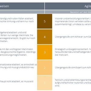 Fähigkeitsgradmodelle, differenzierte Erfassungsmethoden und Bewertungssystematiken ermöglichen eine umfassende Standortbestimmung.