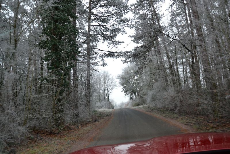 Ob auf befestigten Straßen oder … (Bild: Michel/»kfz-betrieb«)