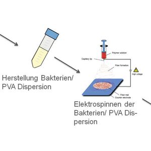 (Bild: Uni Bayreuth)