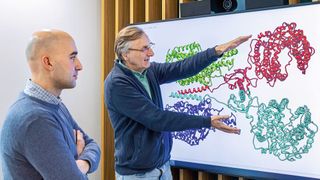 Erstautor Dr. Hristo L. Svilenov (l.) und Prof. Dr. Johannes Buchner, Inhaber des Lehrstuhls für Biotechnologie, mit einem Strukturbild eines ACE2-Dimers. ACE2 dient Coronaviren als Ankerpunkt auf Wirtszellen, um diese zu infizieren. (Bild: Andreas Heddergott / TUM)