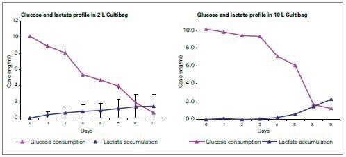 Graph 2: Glucose and lactate profile of Sf9 cell line in 2 L and 10 L Cultibag RM (Source: Sartorius Stedim Biotech, Bengaluru)