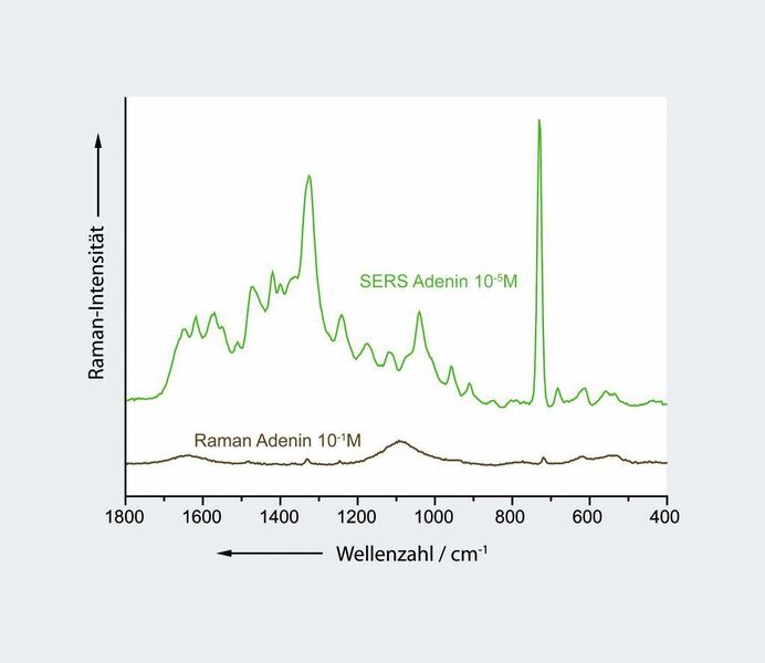 3	 Raman- und SERS-Spektrum von Adenin im Vergleich. Während das Raman-Spektrum (0,1M) schlecht zu detektieren ist, ist das SERS-Spektrum (10µM) deutlich erkennbar und zeigt eine höhere Anzahl charakteristischer Banden, was den Nachweis in Gemischen erleichtert. (Archiv: Vogel Business Media)
