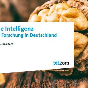 (Bitkom)