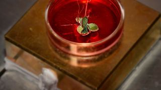 Einsatz von Peltier-Element in der Analytik (Eureca Messtechnik)