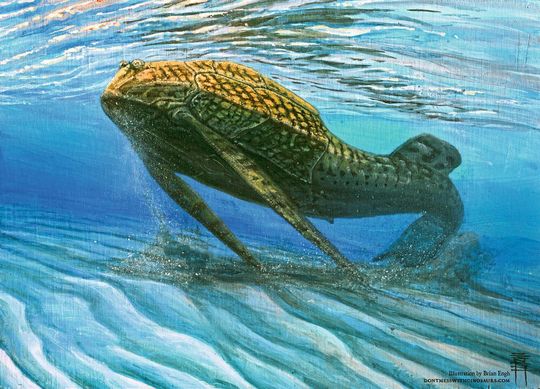 Der Panzerfisch „Bothriolepis trautscholdi“ lebte vor rund 380 Millionen Jahren. Der Panzerfisch „Bothriolepis trautscholdi“ lebte vor rund 380 Millionen Jahren.