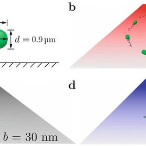 Abb.1: Schwimmende E. coli-Zelle in der Nähe einer Wand. (a) Modell der Zelle aus zylinderförmigem Körper und einem Bündel aus vier Flagellen. (b) – (d) Zellbahnen für unterschiedliche Oberflächenwechselwirkungen. Auf einer glasartigen Oberfläche schwimmt die Zelle im Uhrzeigersinn, charakterisiert durch die Schlupflänge b=0. Bei Erhöhung der Schlupflänge auf b=30 nm schwimmt die Zelle auf einer geraden Bahn. Bei perfekter Gleitreibung verläuft die Bakterienbahn entgegen dem Uhrzeigersinn [3].