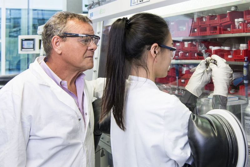 Professor Stefano Passerini und seine Mitarbeiterin Hyein Moon setzen an einer Handschuhbox eine Natrium-Ionen-Batterie zusammen. (Amadeus Bramsiepe, KIT)