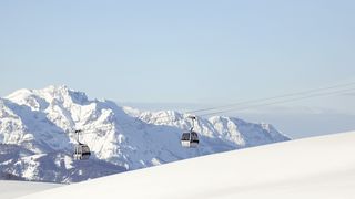 de-2021-01-300-altair-shutterstock-1563016573-olha-sydorenko (Quelle: Olha Sydorenko/shutterstock)