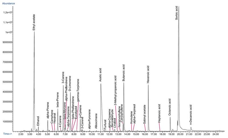 Abb. 6: Gesamtionenchromatogramm nach TF-SPME (3 Std., 40 °C) von Caeser Salatdressing. (Bild: Gerstel)