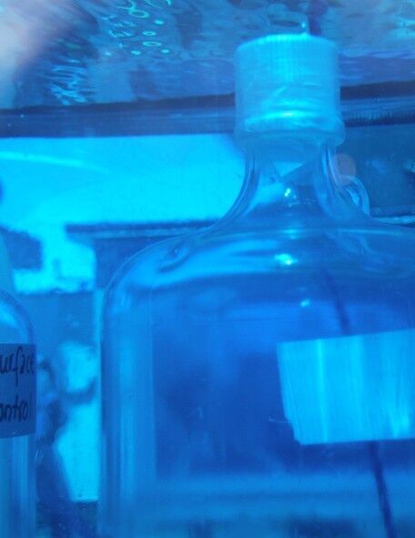 Auf Deck wurden Wasserproben für die Messung der Stickstofffixierungsraten inkubiert: Das Bild zeigt eine Inkubationsflasche. (Bild: M. Visbeck)