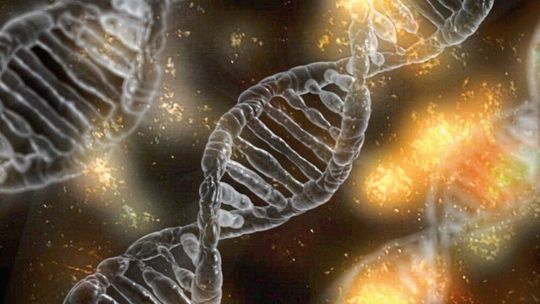 Individuelle genetische Unterschiede bestimmen die Auswirkungen krebstreibender Mutationen. (Symbolbild) Individuelle genetische Unterschiede bestimmen die Auswirkungen krebstreibender Mutationen. (Symbolbild)