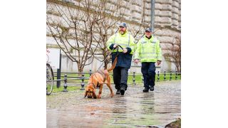 Hundeführer mit Mantrailer Bloodhound (Polizei Sachsen)