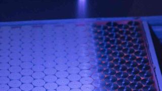 FTCAP stellt sowohl Aluminium-Elektrolyt-Kondensatoren als auch Film-Kondensatoren her. (Bild: FTCAP)