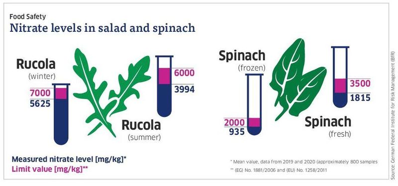 Food safety: Nitrate levels in salad and spinach  (German Federal Institute for Risk Management (BfR))