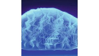 Was hier anmutet wie ein Ausschnitt eines Geschöpfs der Tiefsee, ist in Wirklichkeit ein hilfreiches Element für die einfachere Herstellung von Compositebauteilen. (Bild: ITV)