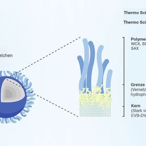 Abb. 1: Chromatographische Medien für Kationenaustauscher
