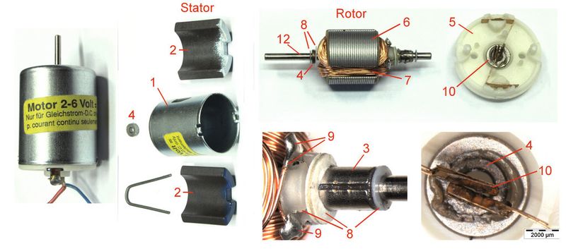 Komponenten eines 40 Jahre alten, intakten Miniatur-Gleichstrom-Elektromotors mit Metallbürsten und verharztem. (Bild: OFG)