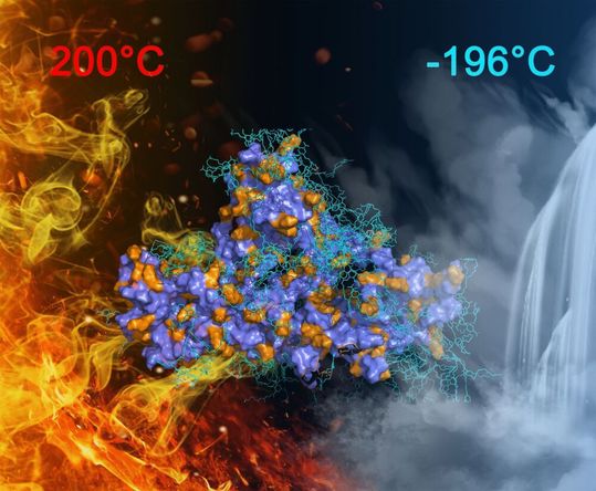 Ein neuer Superkleber hält bei Temperaturen von etwa +/- 200 °C.(Bild:  Wiley-VCH, Angewandte Chemie, DOI: 10.1002/ange.202207425)