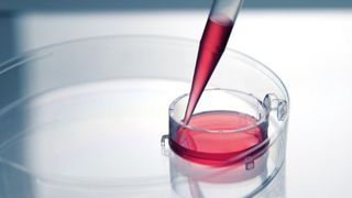 csm-brand-inserts-231fb3e0cd (© 2025 BRAND GMBH + CO KG)