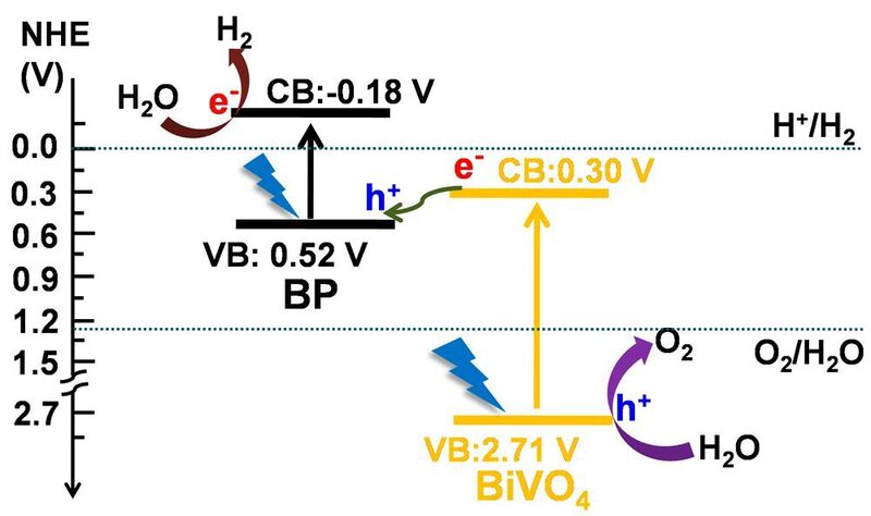 Schematic diagram of Z-scheme photocatalytic overall water splitting using BP/BiVO4 under visible light irradiation. (University of Osaka)
