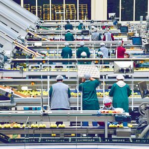 Alles im Fluss: In nahezu jeder Industrie – hier im Food-Bereich – halten Pumpen Sekundärprozesse am laufen.(Bild:  Grundfos)