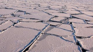 Charakteristisches Muster: durch Wellen gebrochenes Eis in der Arktis. (Bild: UHH/CEN/ M. Dobrynin)