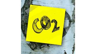 The research results will be used in reforestation and agricultural development projects as well as in initiatives to create dedicated carbon farms, i.e. territories with enhanced carbon dioxide absorption capacity. (Pixabay)