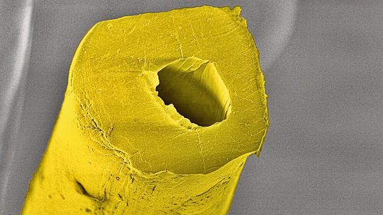 Kern-Mantelfasern werden im Schmelzspinnverfahren aus zwei Komponenten hergestellt. Im Bild eine textile Polymerfaser mit zentralem Kanal (Rasterelektronenmikroskopie-Aufnahme, 1200-fach vergrössert, nachkoloriert). Kern-Mantelfasern werden im Schmelzspinnverfahren aus zwei Komponenten hergestellt. Im Bild eine textile Polymerfaser mit zentralem Kanal (Rasterelektronenmikroskopie-Aufnahme, 1200-fach vergrössert, nachkoloriert).