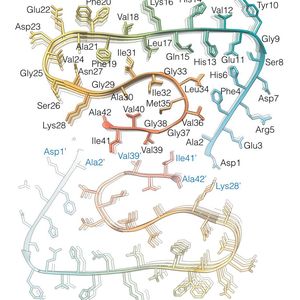 ((c) Forschungszentrum Jülich / HHU Düsseldorf / Gunnar Schröder)