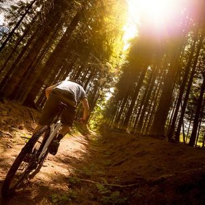 (Möve Bikes / Christoph Laue)