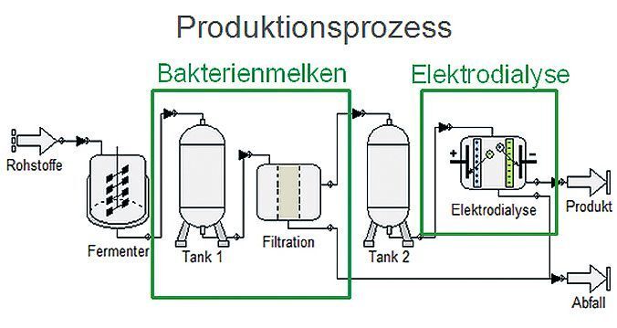 Simulation eines Trennprozesses in der biotechnologischen Produktion  (Bild: Inosim)