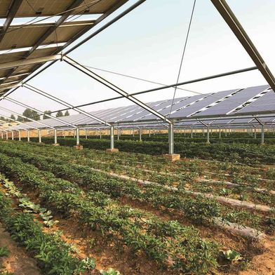 In großen Solaranlagen schützt die Hochspannungssicherung „HP20P“ von Mersen DC-Stränge und reduziert Verluste.  (Bild: stock.adobe.com, jeson)