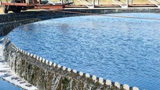 Deha is used primarily in water treatment and in the production of various polymers. (Deposit Photos )