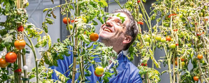 Prof. Dr. Thomas Ott hat am CIBSS – Centre for Integrative Biological Signalling Studies einen grundlegenden Schritt bei der Entstehung der Symbiose zwischen Pflanzen und Bodenbakterien erforscht.(Bild:  Michael Spiegelhalter / Universität Freiburg)