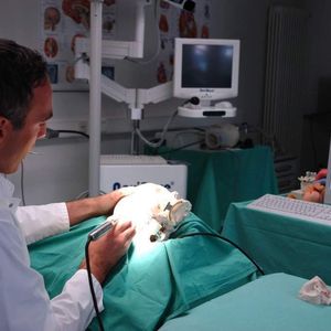 Am Schädelmodell  ... befinden sich austauschbare, 3D-gedruckte Felsenbein-Module, deren chirurgische Bearbeitung über opto-elektrische Sensoren registriert, signalisiert und dokumentiert wird.