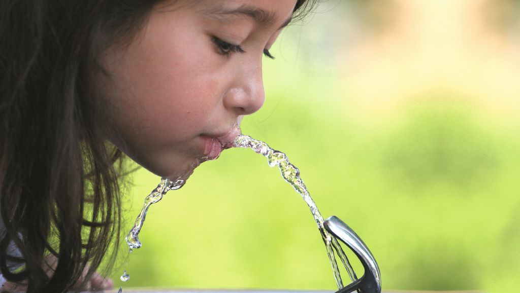 Schwermetalle Im Trinkwasser Bestimmen
