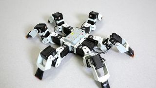 Sechsbeiniger Roboter der ETH Lausanne wird mit Zweifuß-Gang schneller als Insekten. (Alain Herzog/2017 EPFL)