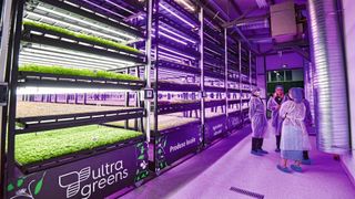 Das rumänische Start-Up Ultragreens will mit Vertical Farming regional angebaute Nahrungsmittel überall verfügbar machen. Für eine zuverlässige Energie-, Signal- und Datenübertragung setzt das Unternehmen auf Kabel und Leitungen von Helukabel. (Bild: Ultragreens)