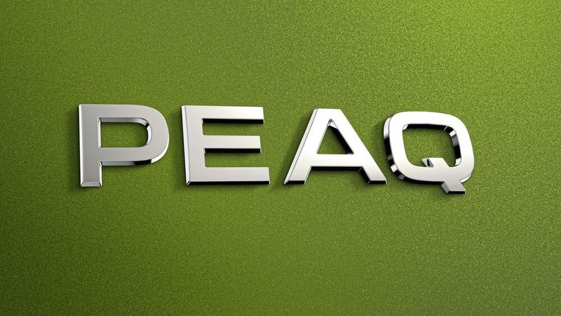 Der künftige elektrisch angetriebene Siebensitzer von Skoda hört auf den Namen Peaq. (Bild: Skoda)