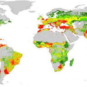 (Quelle: Environmental Pollution/ Elsevier)