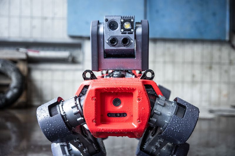 Auch hier sind die autonomen Vierbeiner als Daten-Jäger und -Sammler in der Anlage unterwegs, wie BASF Automation Manager Peter Welter erklärt: „Die Automatisierung steht definitiv am Schnittpunkt unserer Digitalisierungsstrategie. Wir sind am Ende des Implementierungsprozesses, und die Robotik hat einen großen Beitrag geleistet.“ (Bild: Anybotics)