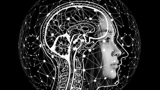 Künstliche Neuronale Netze versuchen, biologische Prozesse technisch nachzubilden. (Bild: Bild von Gerd Altmann auf Pixabay)