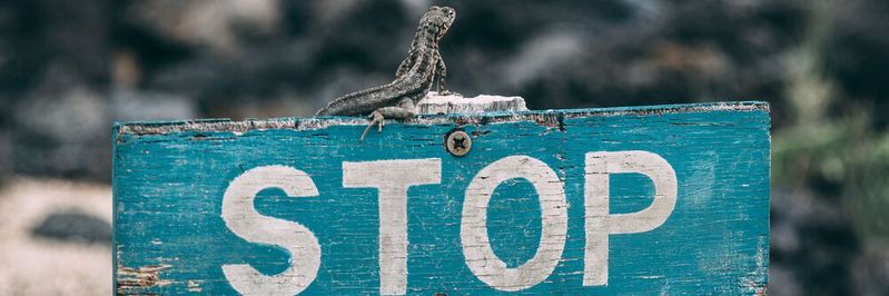 Leadgenerierung auf Social Media ist ein fast schon alter „Schuh“. Wir zeigen die 4 größten Fehler, die B2B Marketer dabei dringend vermeiden sollten.(Bild:  gemeinfrei / Unsplash)