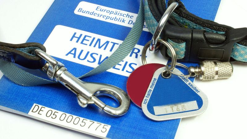 In der Stadt Essen sind klassische Hundesteuermarken passé.(Bild: ©  PixelPower - stock.adobe.com)