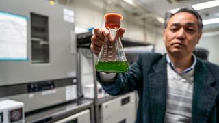 Mazda, die Hiroshima University und das Tokyo Institute of Technology erforschen Kraftstoff aus Mikroalgen. (Mazda)