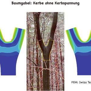 Abb. 3: Baumgabeloptimierung mit CAO: Die roten Flecken im linken Bild sind Kerbspannungen, die rechts durch „Wachstum“ abgebaut wurden.(Bild:  C. Mattheck)