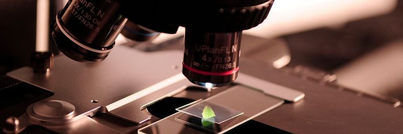 Physicists at Stony Brook University have developed a new type of material that is a highly efficient insulator at high temperatures, capable of conducting electricity without wasting heat.