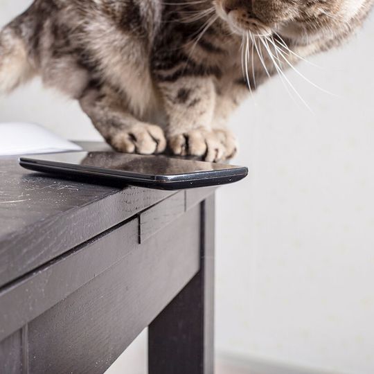 Kurioses, Tierisches, Nachdenkliches oder einfach nur unnützes Wissen – die Rand-Notiz zum Wochenende.(Bild:  koldunova - stock.adobe.com)